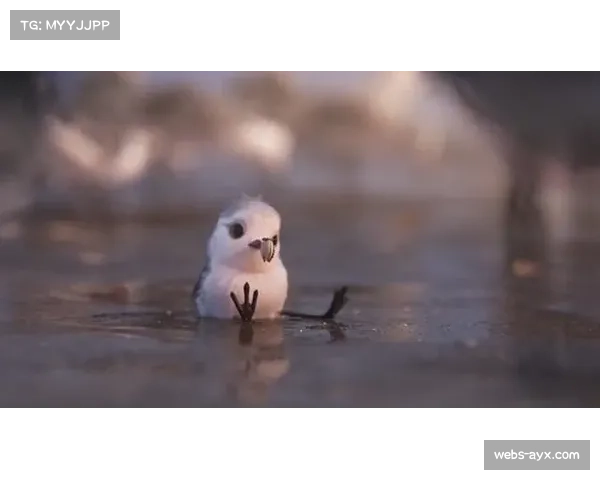 冰球主题纪录片《更衣室之歌》入围奥斯卡最佳纪录短片提名